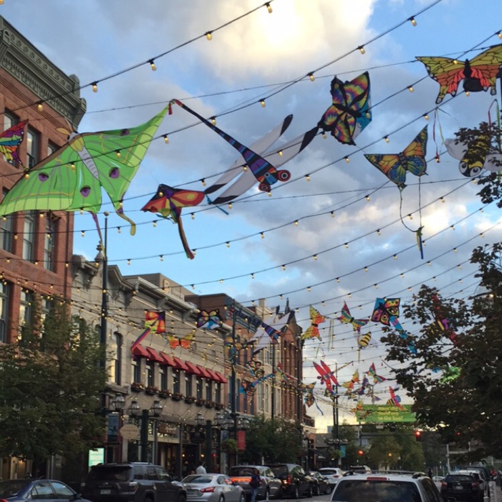 Meet your Posher, Jillian